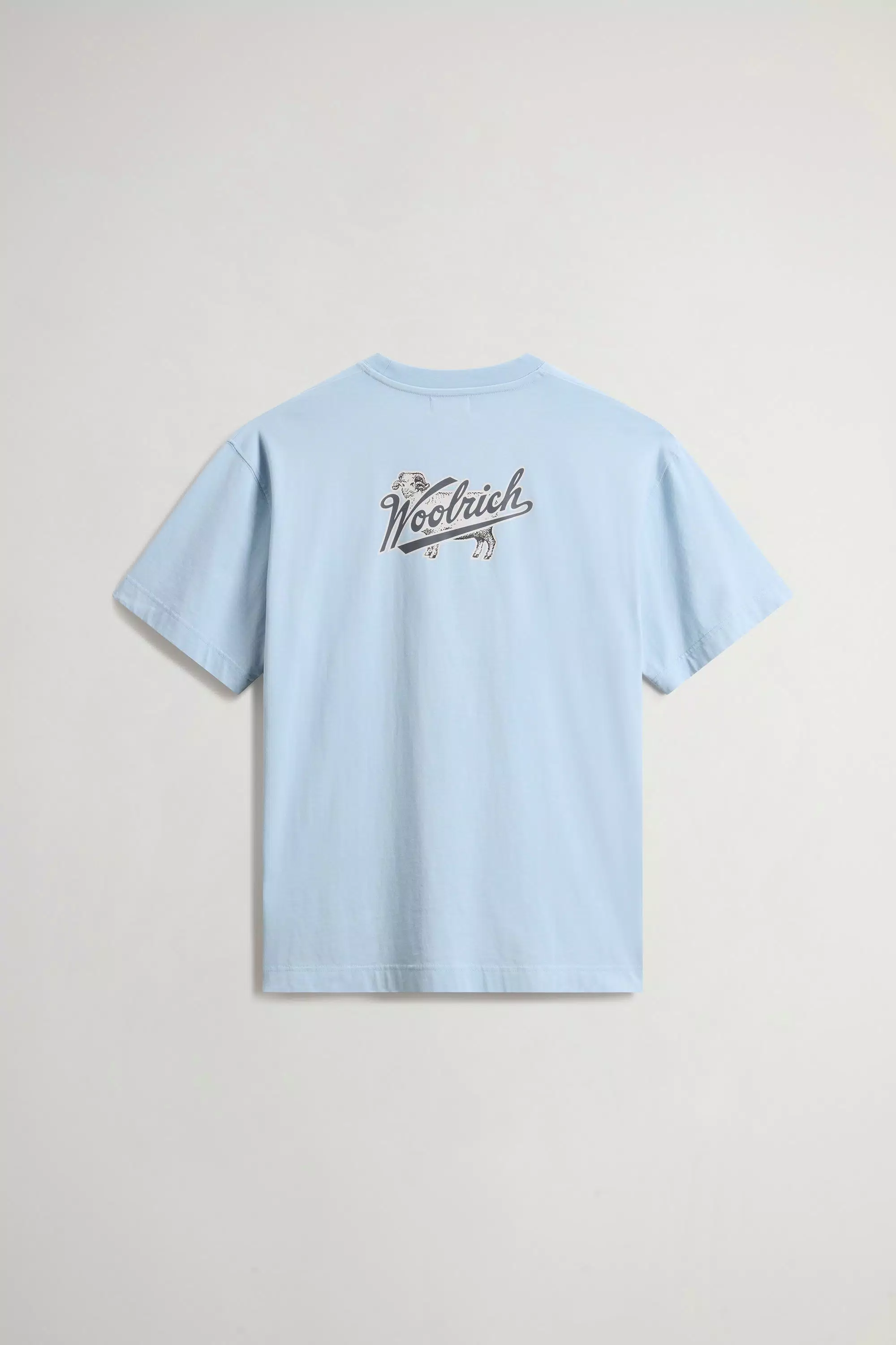 T-Shirt aus reiner Baumwolle mit Logo - Flask